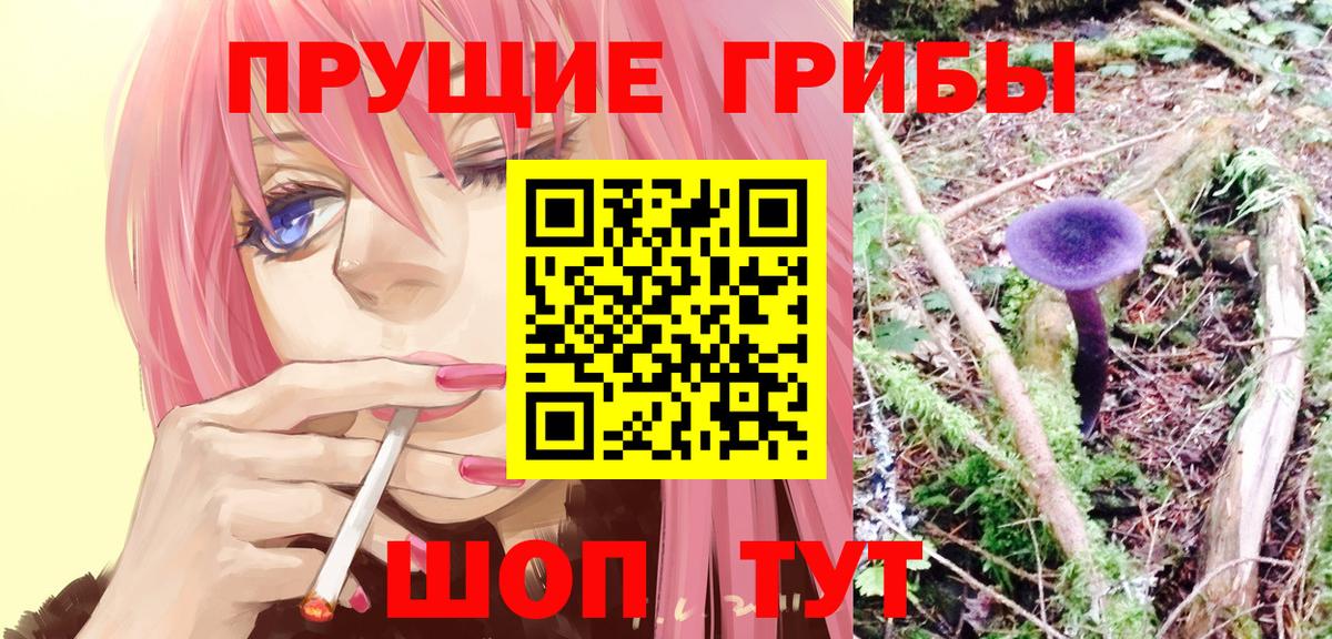 Псилоцибиновые грибы ЛСД  Галлюциногенные грибы мицелий  Нижний Новгород  купить наркотики цена  Вход с VPN 